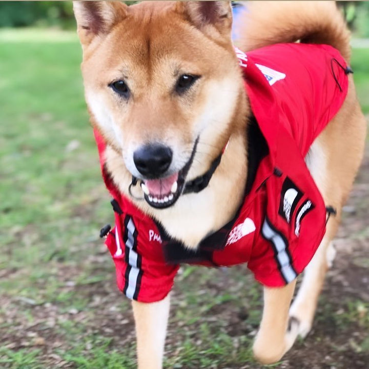 Rainproof Dog Large Dog Raincoat
