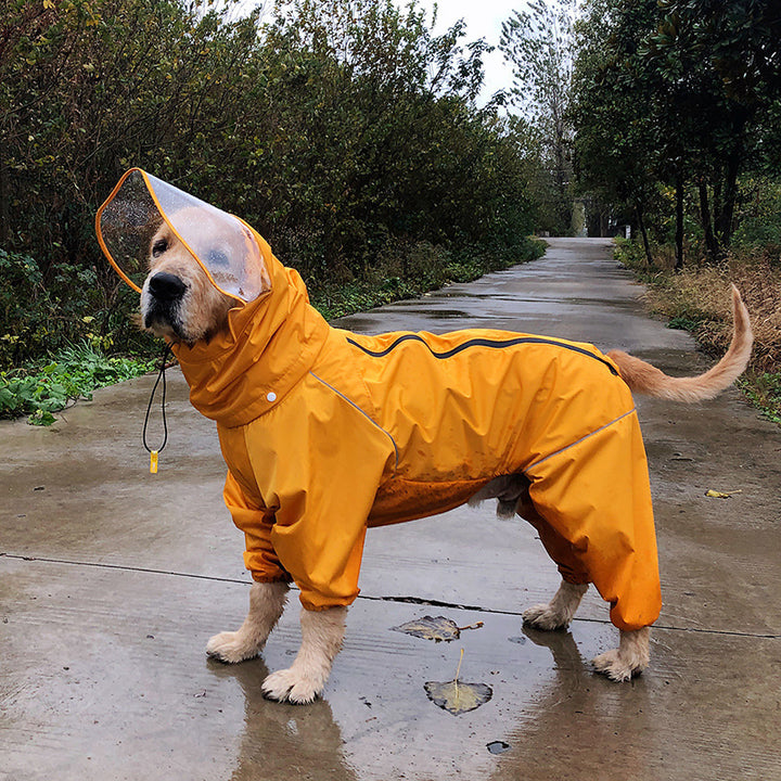 Personality Dog Raincoat Oversized