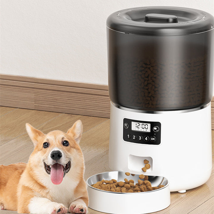 Pet Feeder Cat Automatic